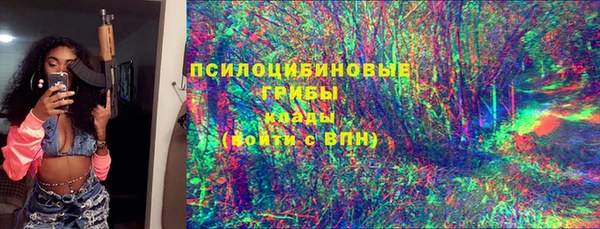 mdpv Рославль